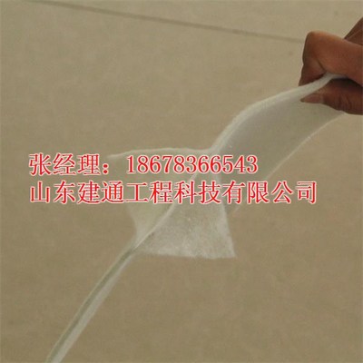 山東建通兩布一膜復合土工膜 汕頭地區價格、廠家與產品解析